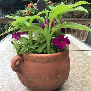 Meet your Posher, Barbara